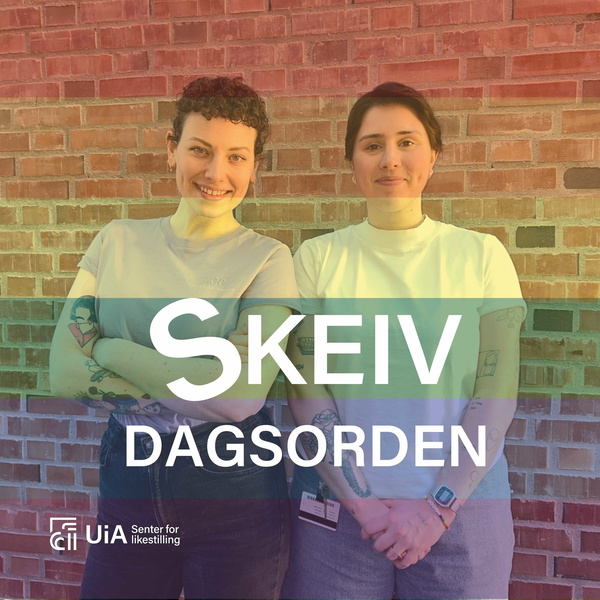 Artwork for Skeiv dagsorden