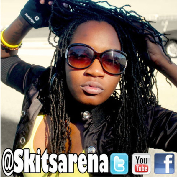 Artwork for Skitsarena