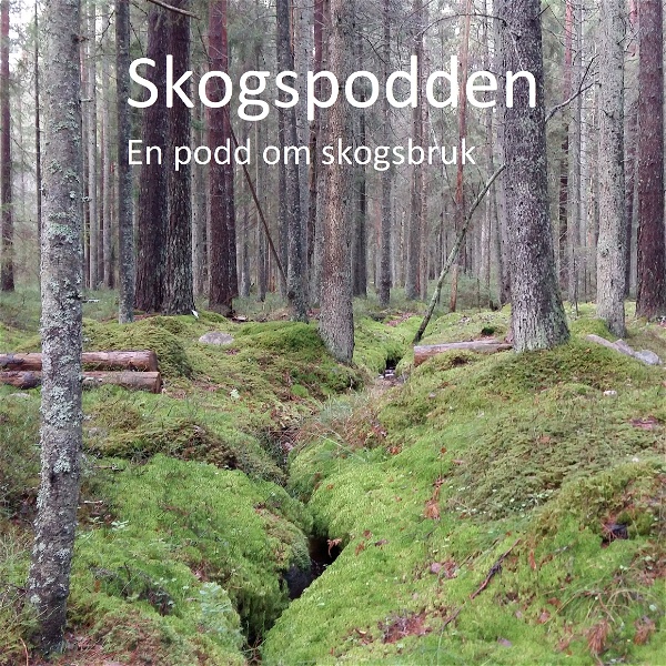 Artwork for Skogspodden