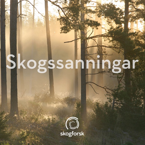 Artwork for Skogssanningar