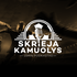 Skrieja kamuolys