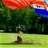 Skydive Liberation