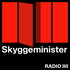 Skyggeminister
