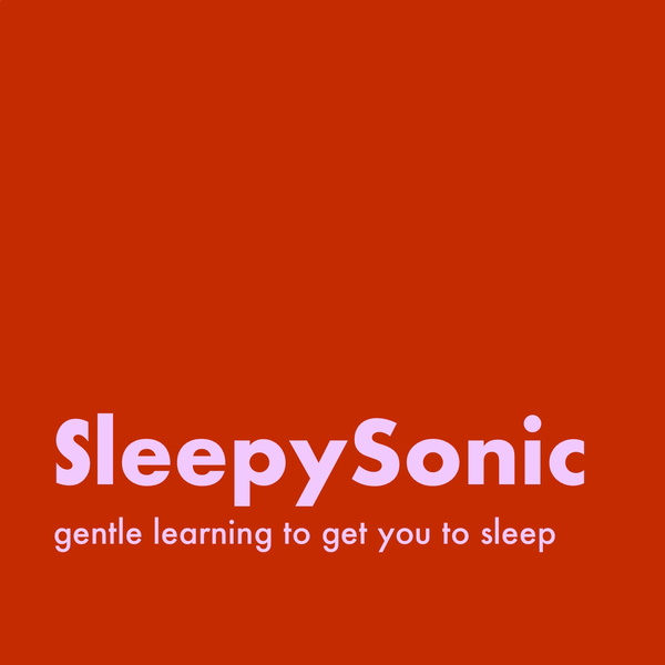 Artwork for Sleepy Sonic