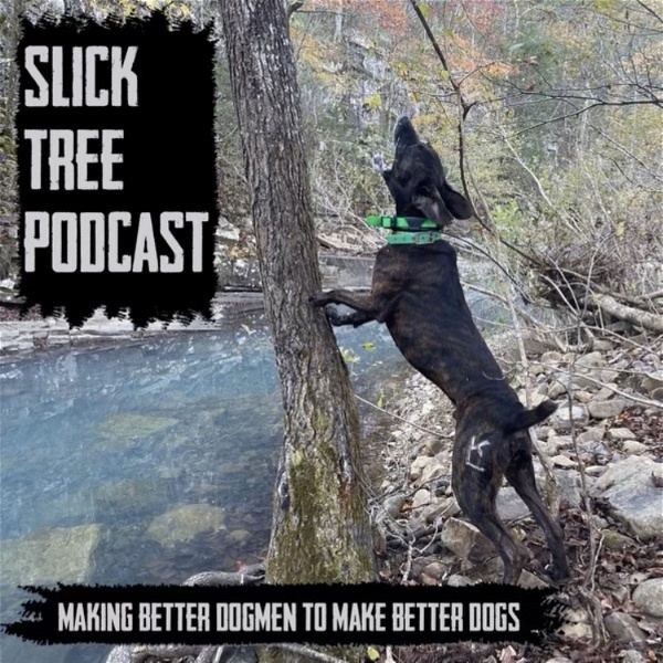 Artwork for Slick Tree Podcast