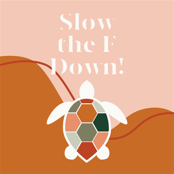 Artwork for Slow the F Down!