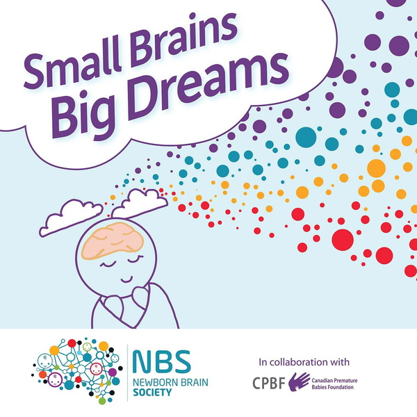 Artwork for Small Brains, Big Dreams