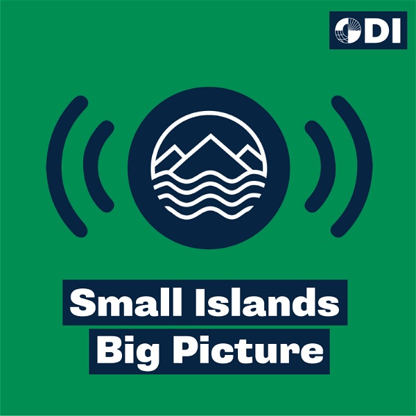 Artwork for Small Islands Big Picture