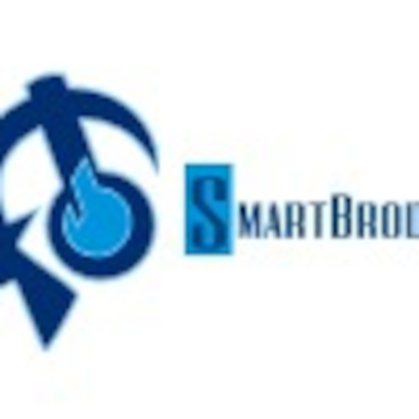 Artwork for smartbroda