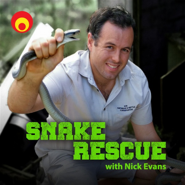 Artwork for Snake Rescue