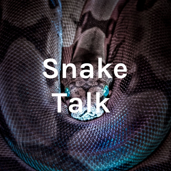 Artwork for Snake Talk