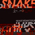 Snakehips - Never Worry Radio