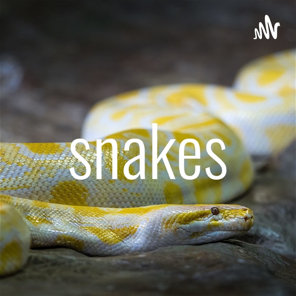 Artwork for snakes