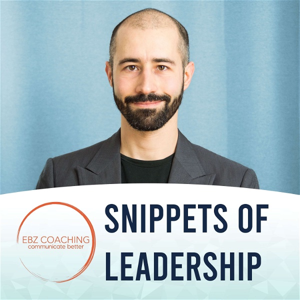 Artwork for Snippets of Leadership