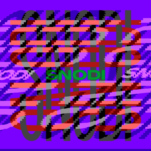 Artwork for Snodi