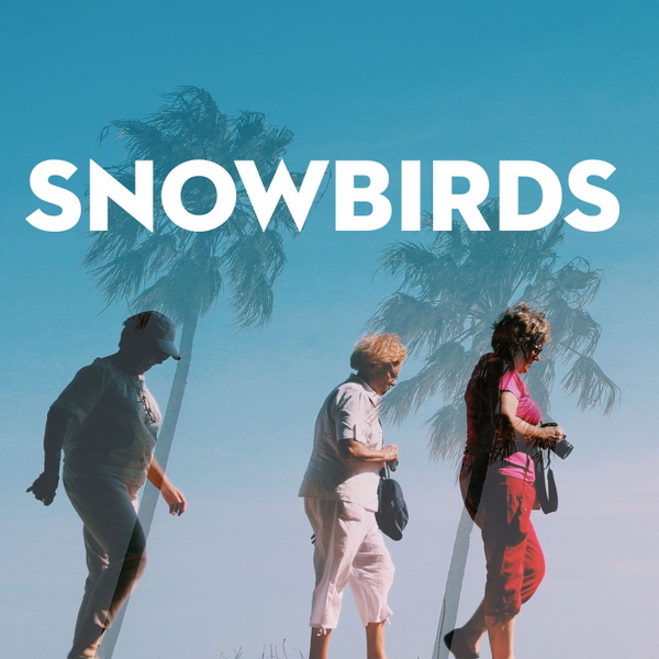 Artwork for Snowbirds