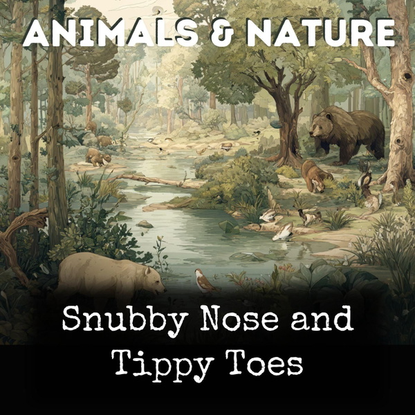 Artwork for Snubby Nose and Tippy Toes