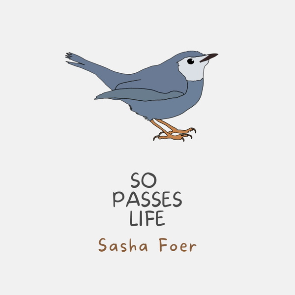 Artwork for So Passes Life