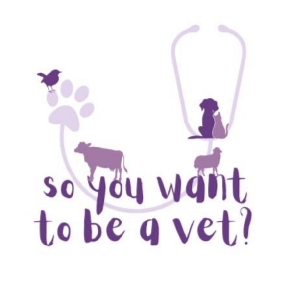 Artwork for So You Want To Be a Vet?