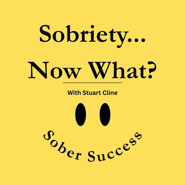 Artwork for Sobriety... Now What?