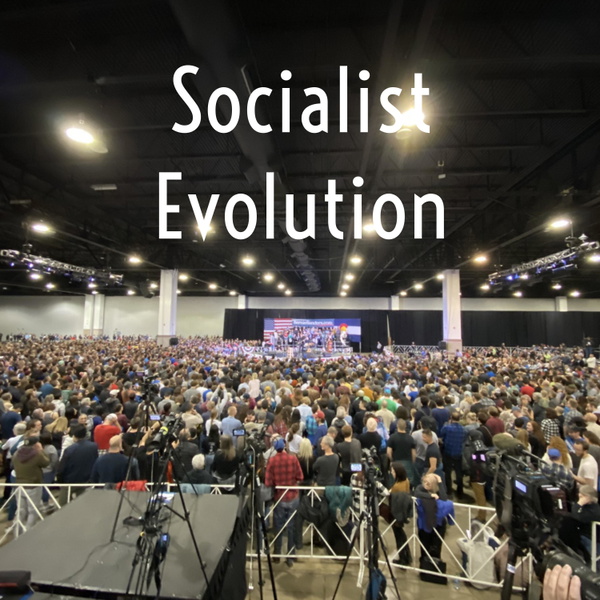 Artwork for Socialist Evolution