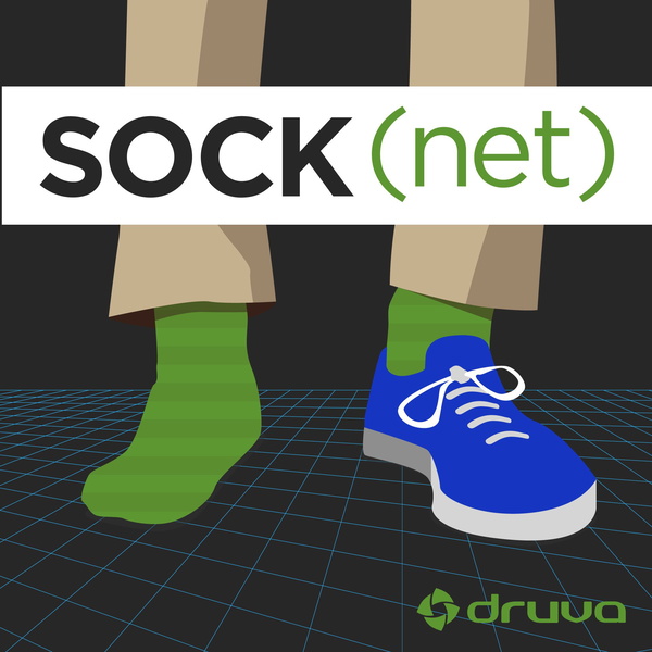 Artwork for SOCK(net)