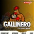 El Gallinero by Ryan Ricardo
