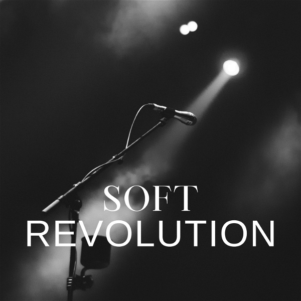 Artwork for Soft Revolution