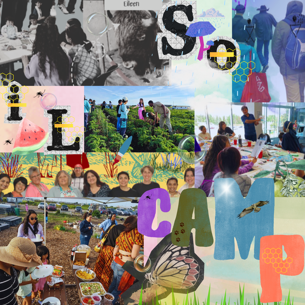 Artwork for Soil Camp