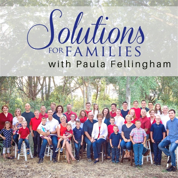 Artwork for Solutions for Families