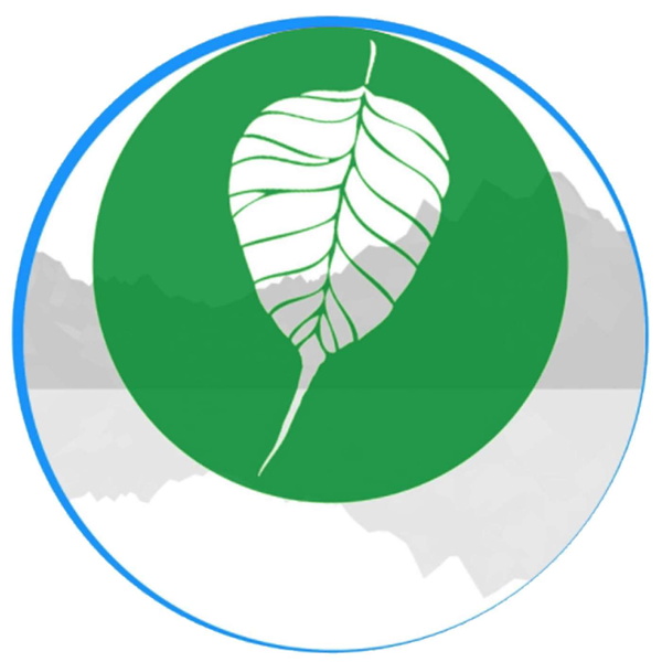 Artwork for Somatic Primer Podcast