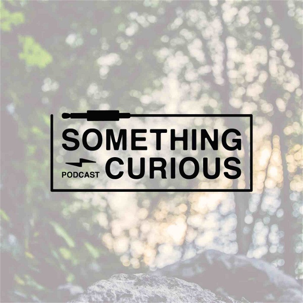 Artwork for Something Curious