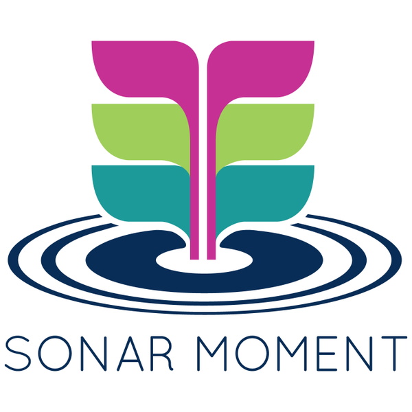 Artwork for Sonar Moment