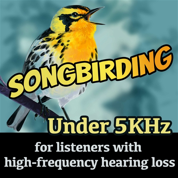 Artwork for Songbirding Under 5kHz