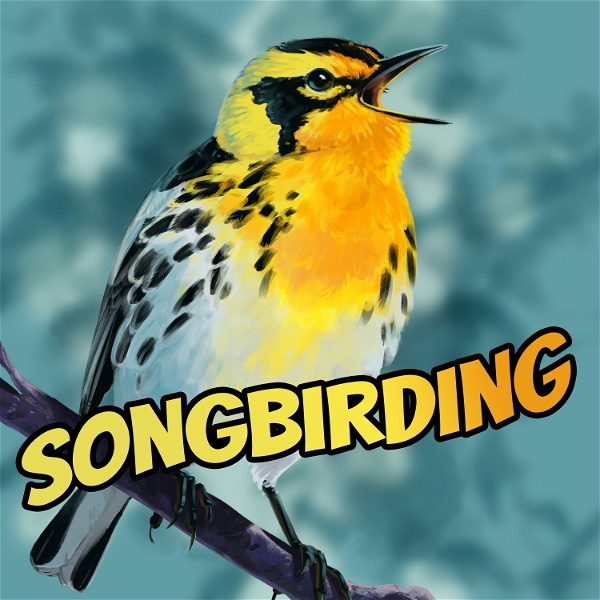 Artwork for Songbirding: A Birding-by-ear Podcast