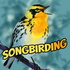 Songbirding: A Birding-by-ear Podcast