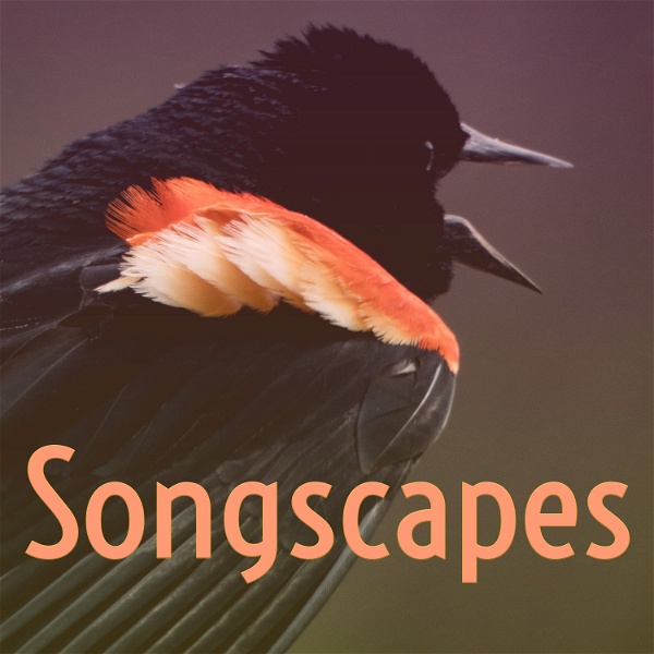 Artwork for Songscapes