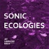 Sonic Ecologies