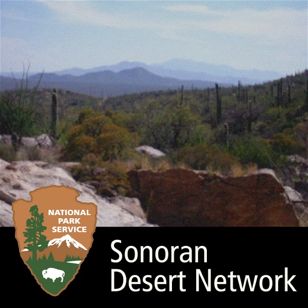 Artwork for Sonoran Desert Network