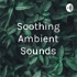 Soothing Ambient Sounds