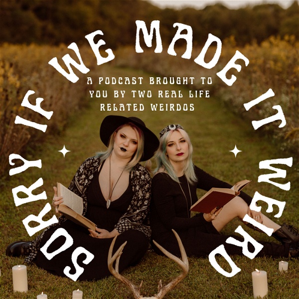 Artwork for Sorry If We Made It Weird