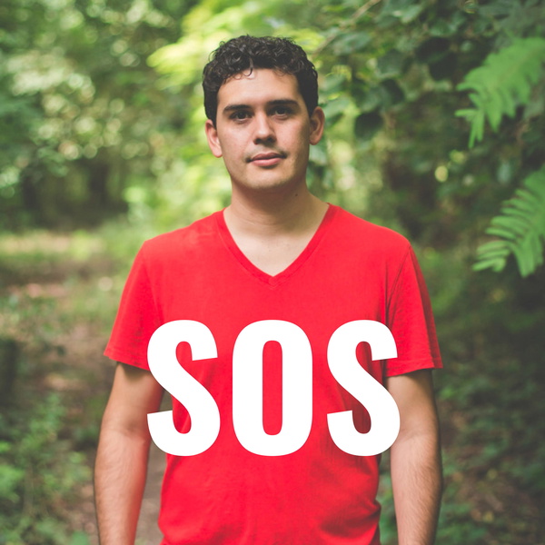 Artwork for SOS