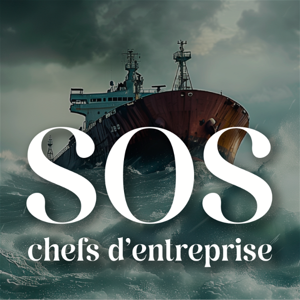 Artwork for SOS chefs d'entreprise