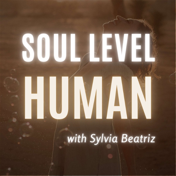 Artwork for Soul Level Human