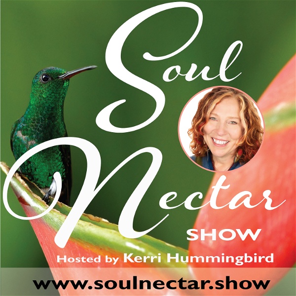 Artwork for Soul Nectar Show