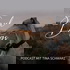 SoulDogs Dein Podcast für Herz & Hund
