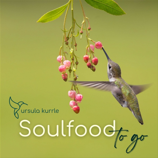 Artwork for Soulfood to go