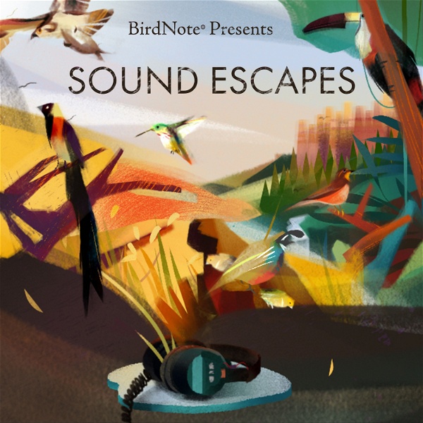 Artwork for Sound Escapes