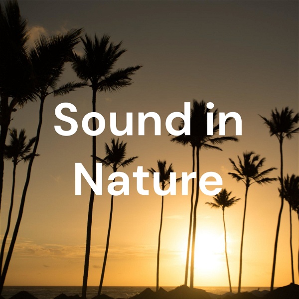 Artwork for Sound in Nature Lite