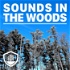 Sounds in the Woods